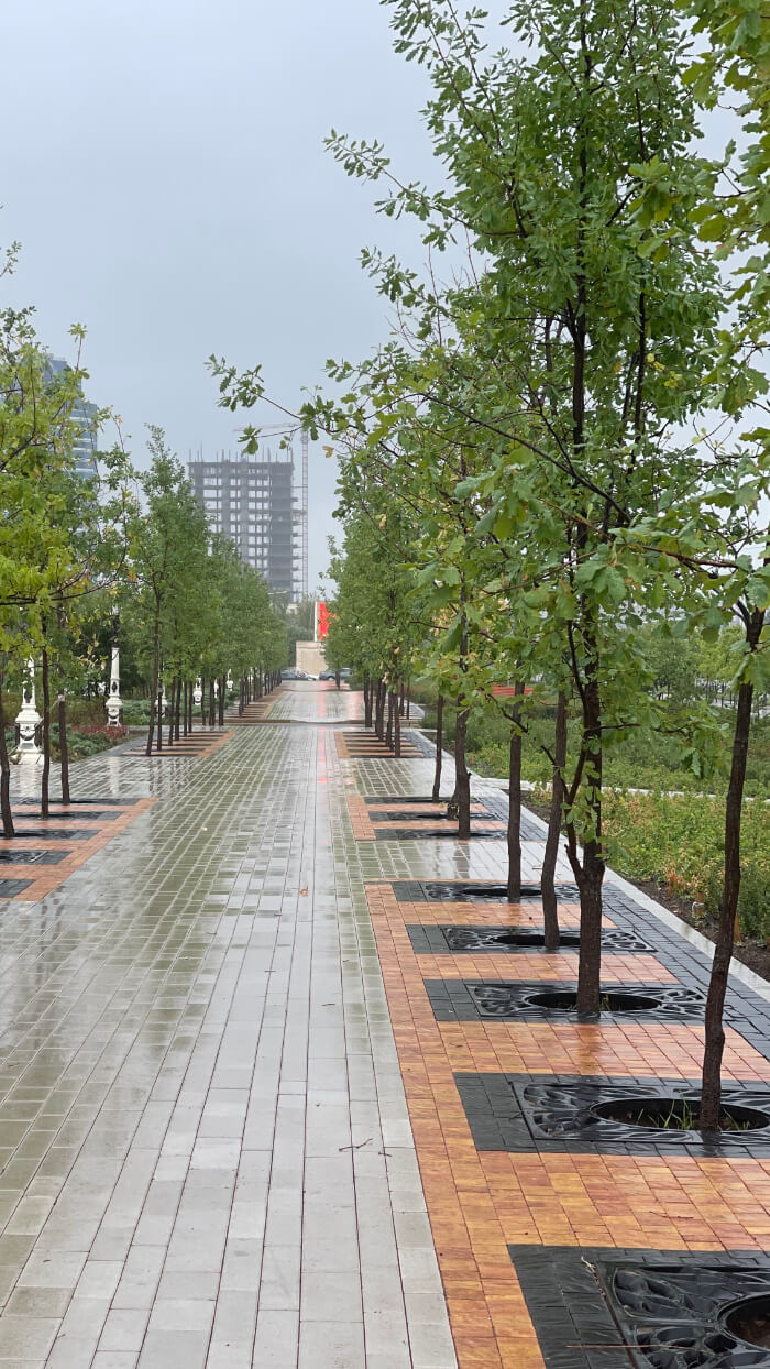 Приствольная решетка для дерева ZKING CRUST 1.2х1.2м Черная в Бирске фото